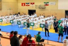 Kampfsportfest in Bernau: 30 Jahre Leidenschaft auf der Matte