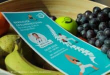 Einladung zum Bernauer Gesundheitstag am 16. September 2026