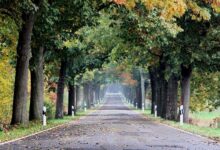 Guten Morgen aus Bernau – Verkehr, Infos und Tipps am 24. September 2026