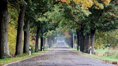 Guten Morgen aus Bernau – Verkehr, Infos und Tipps am 24. September 2026