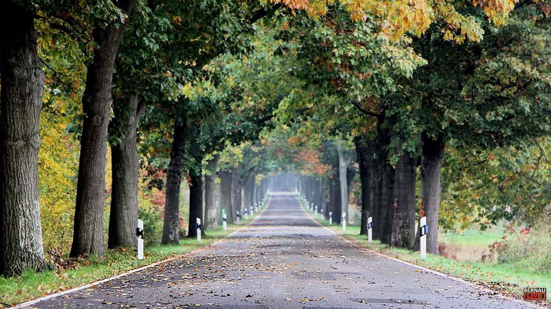 Guten Morgen aus Bernau – Verkehr, Infos und Tipps am 24. September 2026