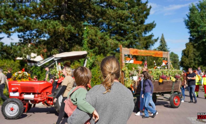 Willkommen zum Heidefest Schönow am 11. und 12. September 2026