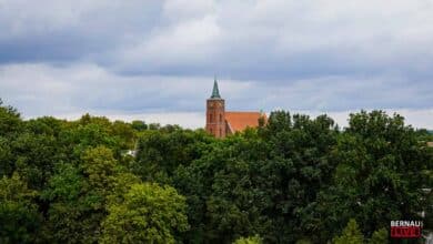 Guten Morgen aus Bernau – Verkehr, Infos und Tipps am 18. September 2026