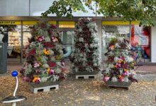 Blumen Buergermeisterstraße 1.
