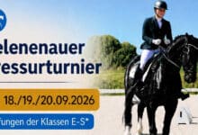 Bernau: Pferdesport am Wochenende im Erlebnishof Helenenau