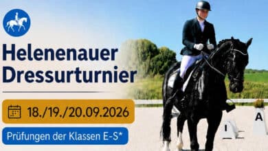 Bernau: Pferdesport am Wochenende im Erlebnishof Helenenau