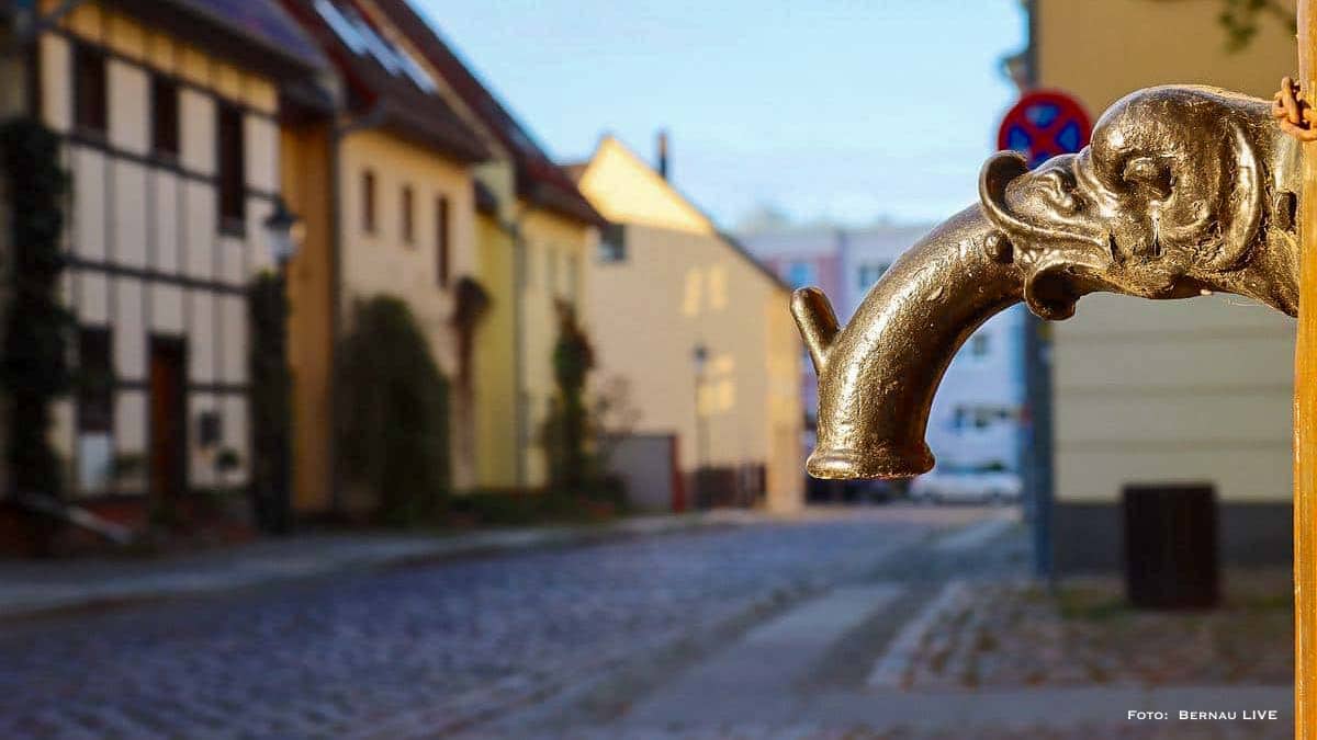Guten Morgen aus Bernau – Verkehr, Infos und Tipps am 4. September 2026