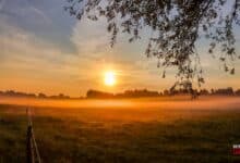 Guten Morgen aus Bernau – Verkehr, Infos und Tipps am 22. September 2026