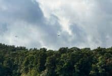 Zahlreiche Polizei-Hubschrauber zur Übung nach Strausberg unterwegs