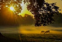 Guten Morgen aus Bernau und willkommen in der neuen Woche