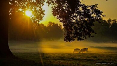 Guten Morgen aus Bernau und willkommen in der neuen Woche