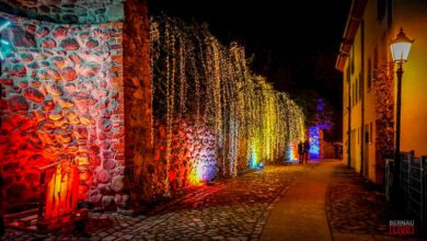 Bernau LIVE - Dein Stadtmagazin