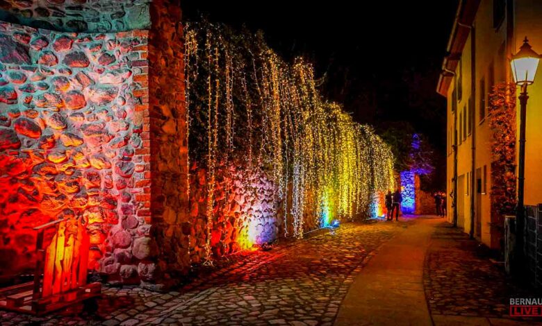 Bernau LIVE - Dein Stadtmagazin