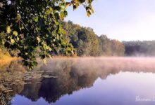 Veranstaltungen und Tipps für das Wochenende in und um Bernau