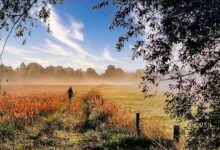 Veranstaltungen und Tipps für das Wochenende in und um Bernau