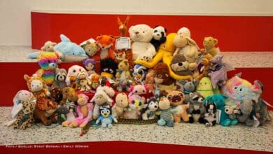 Wenn in der Bibliothek die Lichter ausgehen: Das heimliche Abenteuer der Kuscheltiere