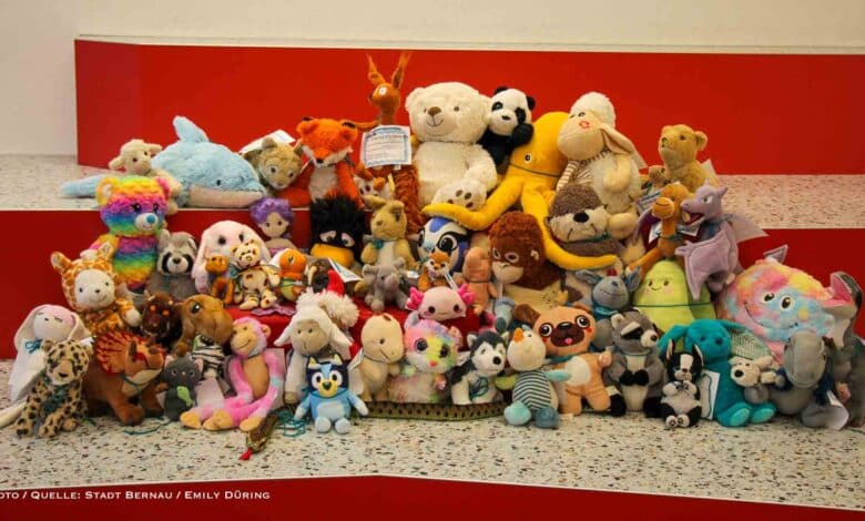 Wenn in der Bibliothek die Lichter ausgehen: Das heimliche Abenteuer der Kuscheltiere