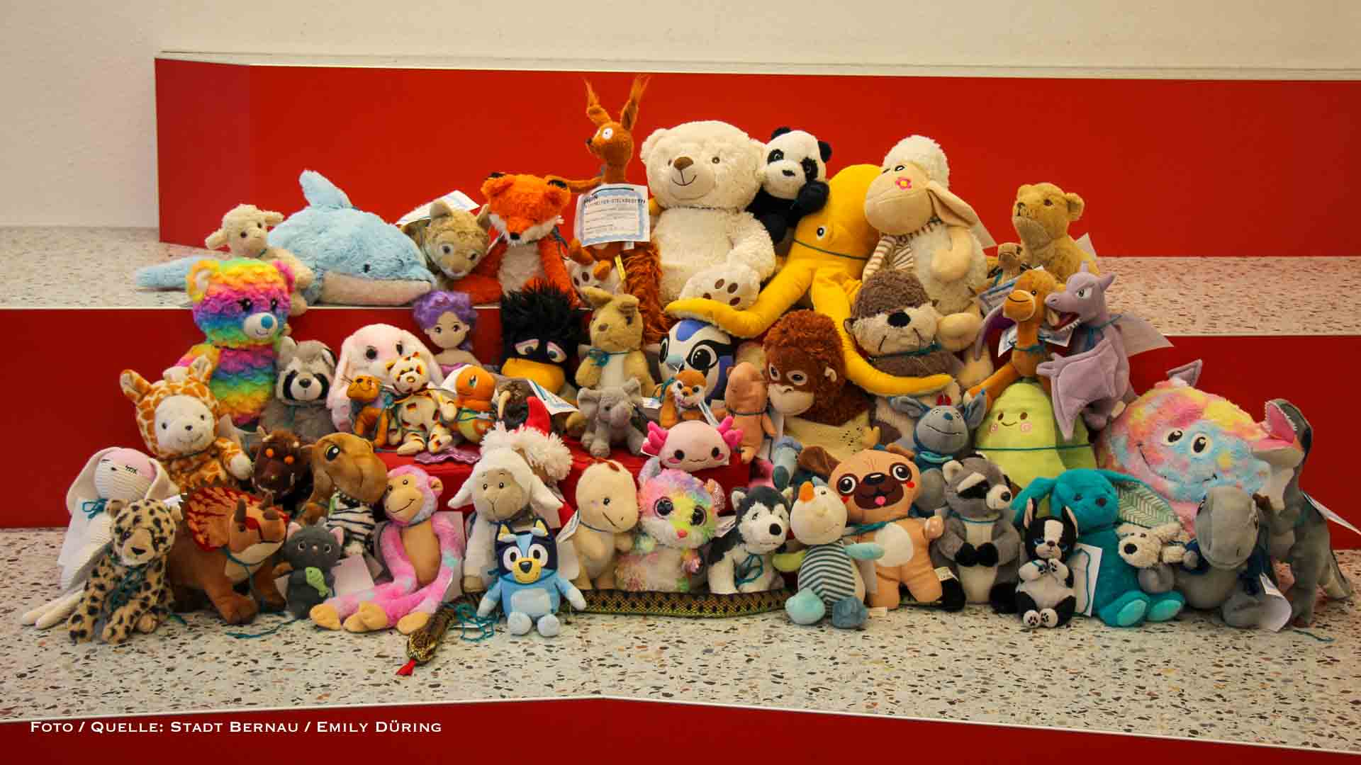 Wenn in der Bibliothek die Lichter ausgehen: Das heimliche Abenteuer der Kuscheltiere