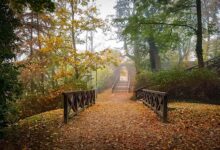 Guten Morgen aus Bernau – Verkehr, Infos und Tipps am 30. Oktober 2026