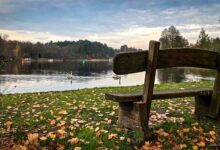 Veranstaltungen und Tipps für das Wochenende in und um Bernau