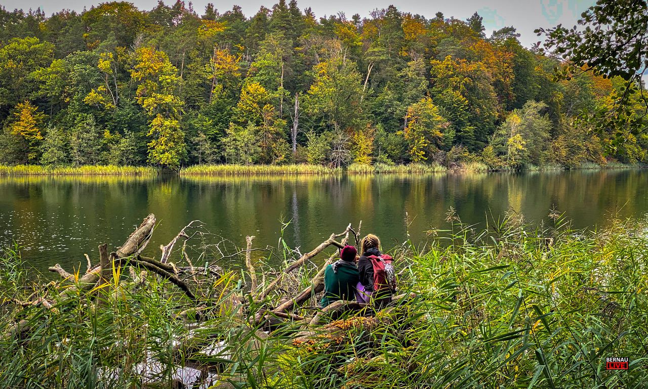 Veranstaltungen und Tipps für das Wochenende in und um Bernau