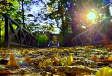 Herbstferien in Bernau: Abwechslung, Sport und Kreativität für Kinder und Jugendliche