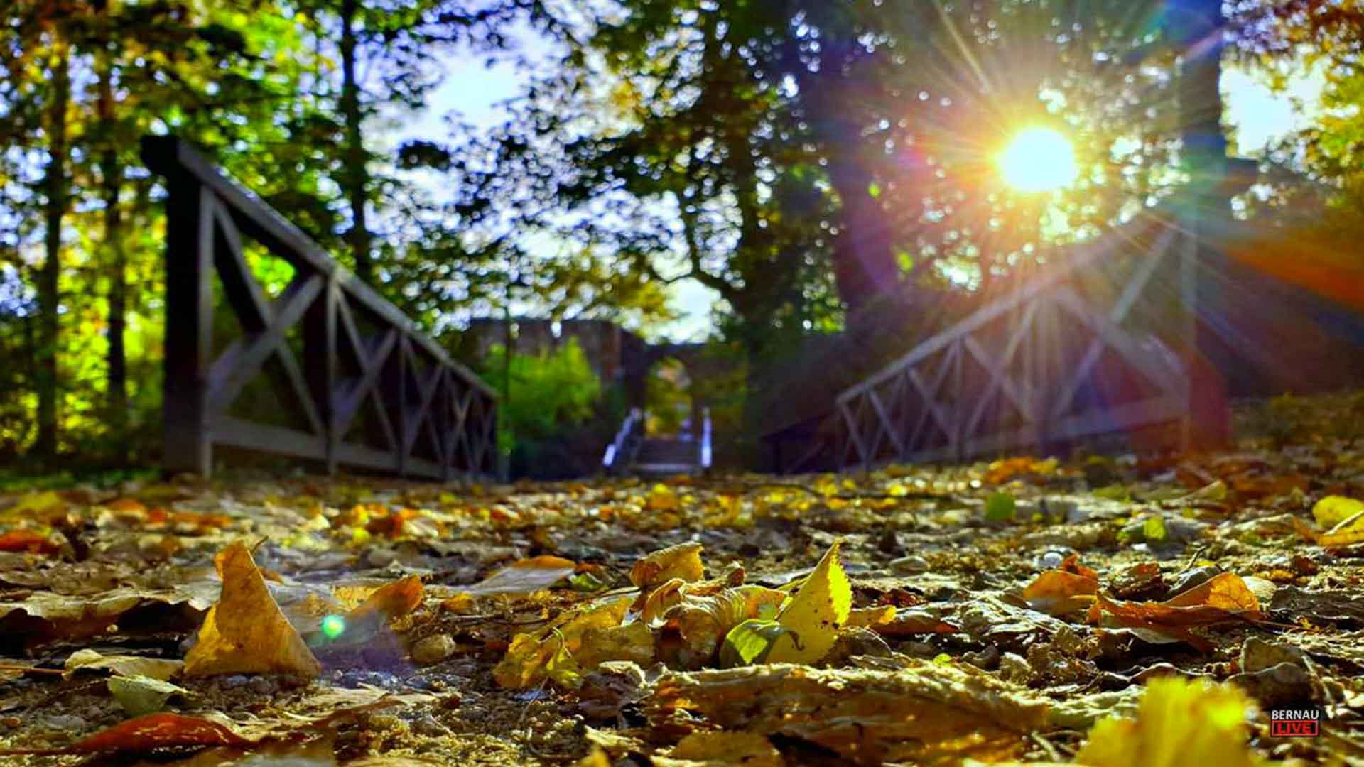 Herbstferien in Bernau: Abwechslung, Sport und Kreativität für Kinder und Jugendliche