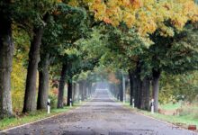 Guten Morgen aus Bernau – Verkehr, Infos und Tipps am 22. Oktober 2026