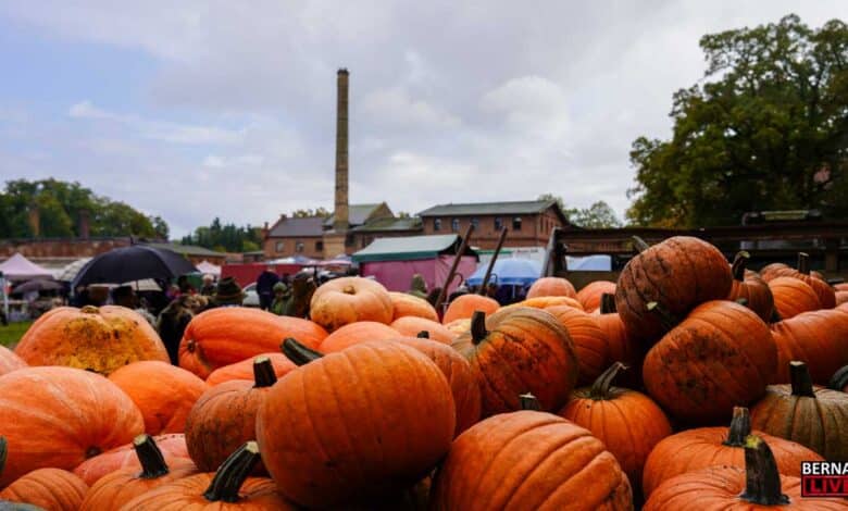 Herbstzauber auf dem Gutshof: Kürbisfest & Regionalmarkt in Börnicke