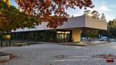 Puppentheater-Finale am 25. Oktober: Klassiker „Peter und der Wolf“ in Bernau Waldfrieden