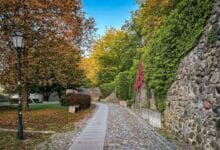 Guten Morgen aus Bernau – Verkehr, Infos und Tipps am 15. Oktober 2026