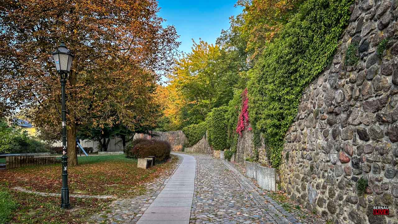 Guten Morgen aus Bernau – Verkehr, Infos und Tipps am 15. Oktober 2026