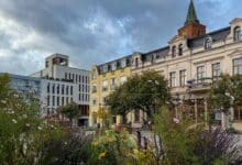 Guten Morgen aus Bernau – Verkehr, Infos und Tipps am 20. Oktober 2026