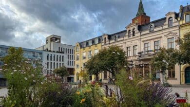 Guten Morgen aus Bernau – Verkehr, Infos und Tipps am 20. Oktober 2026