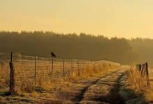 Guten Morgen aus Bernau – Verkehr, Infos und Tipps am 13. Oktober 2026