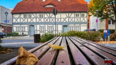 Guten Morgen aus Bernau – Verkehr, Infos und Tipps am 7. Oktober 2026