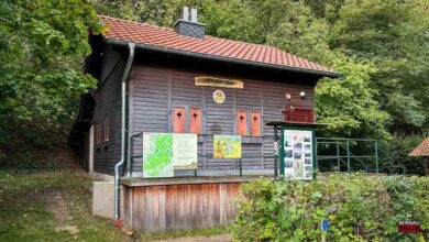 Sonntag: Herbst-Wanderung durch das Naturparadies Biesenthaler Becken